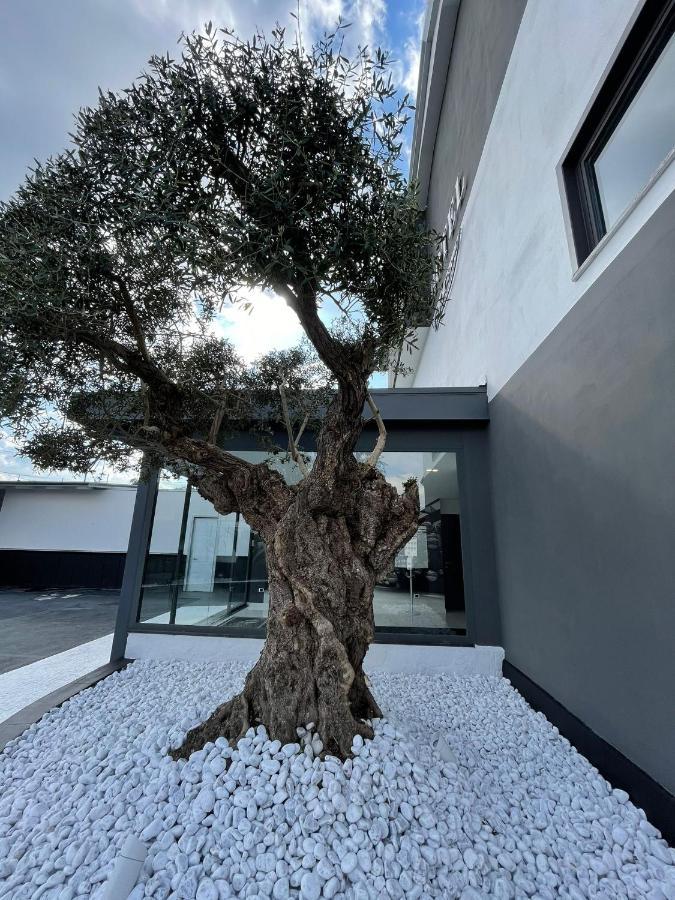 Hotel Cristian Giugliano In Campania Dış mekan fotoğraf